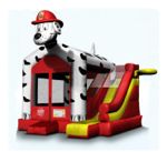 Dalmation Combo